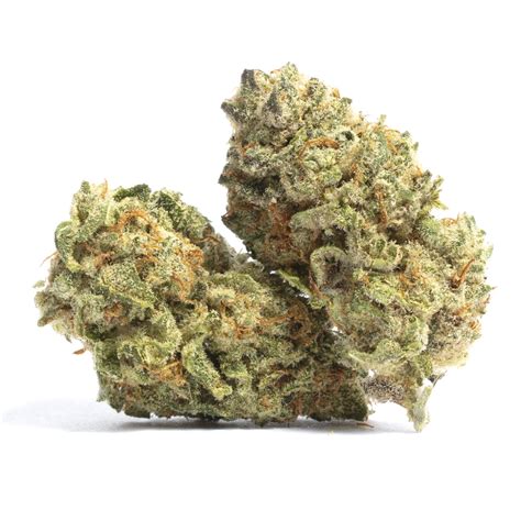 Super Skunk Weed Strain Information | Leafly