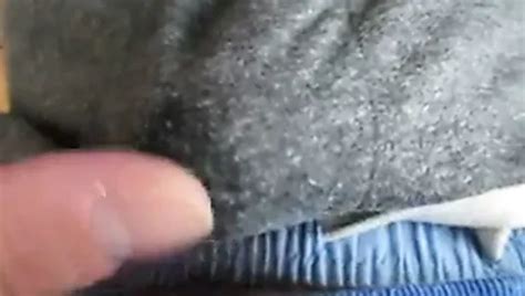 Some Precum Gay Precumming Hd Porn Video Bc Xhamster