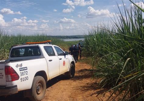 Corpo Em Decomposi O Encontrado Em Canavial De Cosm Polis