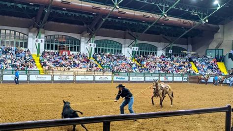 Complete First Timers Guide To The Fort Worth Rodeo Texas | Afternoon Tea Reads