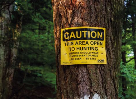 U S Forest Service Officials Urge Hunters To Use Caution In The Woods Sabine County Reporter