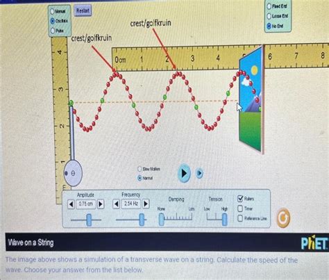 Solved The image above shows a simulation of a transverse | Chegg.com