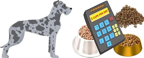 Great Dane Food Calculator Feeding Guide And Chart