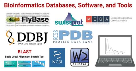 Introduction To Biology For Bioinformatics Omics Tutorials