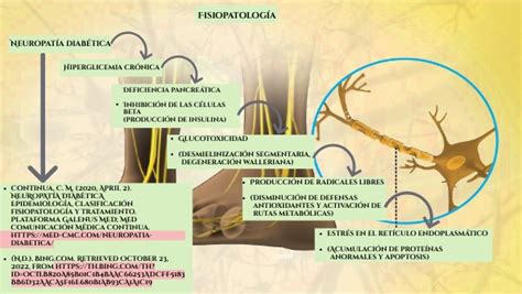 Fisiopatolog A Neuropat A Diab Tica