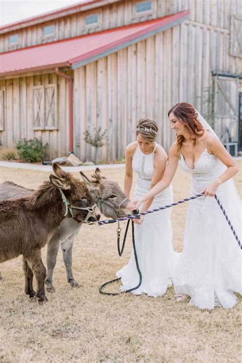 These Brides Look So in Love in Their Rustic Rose Barn Wedding