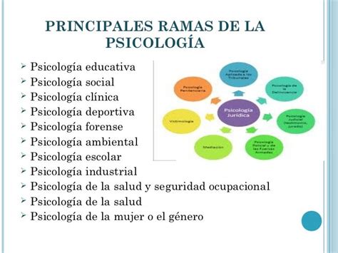 Psicologia Ramas De La PsicologÍa