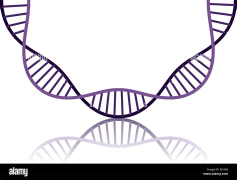 Dna Chain With Curve Science Colorful Icon Stock Vector Image And Art Alamy