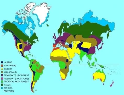 Tropical Rainforest Biome World Map