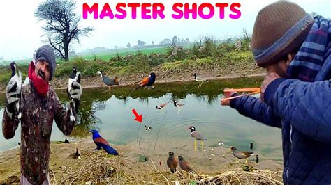 Some Master Shots Of Birds Hunting With Slingshot YouTube