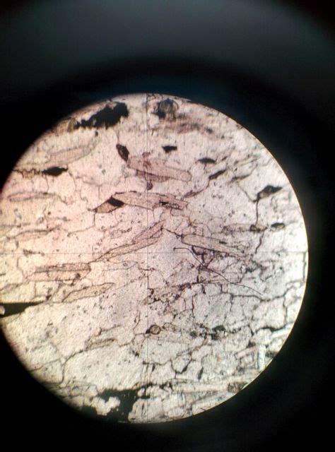 7 Geology Thin Sections Ideas Geology Schist Mica