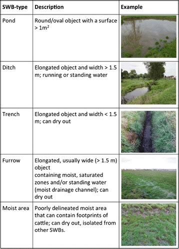 Definition of five types of small water bodies (SWB) that were ...