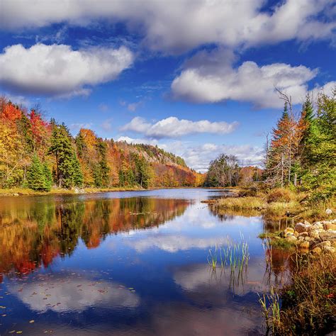 Bald Mountain Pond Photograph By David Patterson Fine Art America