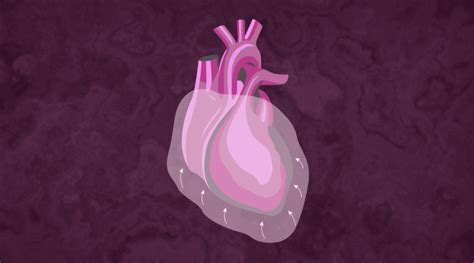 Understanding Pericardial Effusion Unc Health Talk