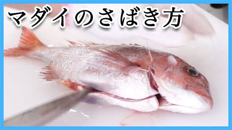 【マダイのさばき方】おウチで体験！お魚博士によるお魚さばき動画配信！【道の駅むなかた】 Youtube