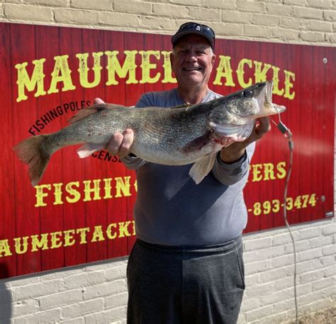 Maumee Walleye Run Bel Melisandra