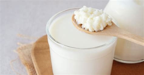 10 Best Kefir Recipes - Insanely Good