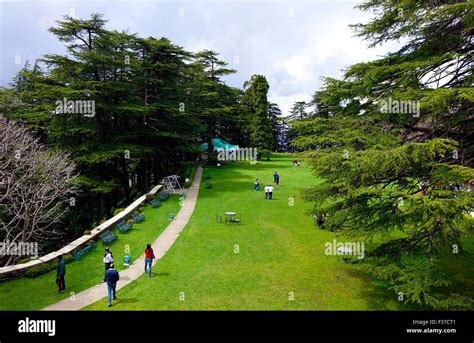 Chail Palace, Himachal Pradesh, Hills, Mountains, Mountainside Stock ...