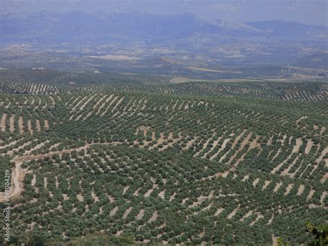 Beda Ciudad De Jaen Andaluc A Espa A Patrimonio De La Humanidad Por