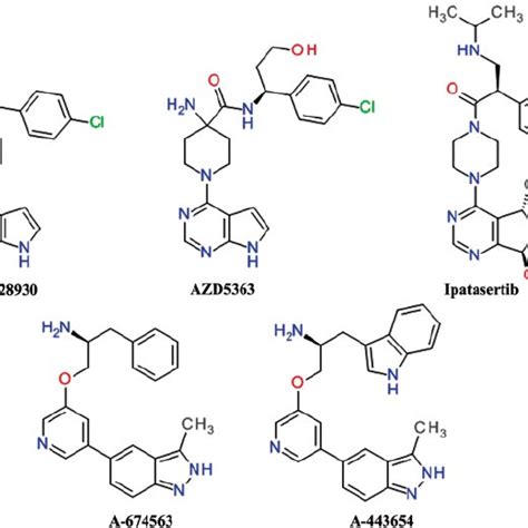 Representative sulfonamide derivatives and thiourea based compounds. | Download Scientific Diagram