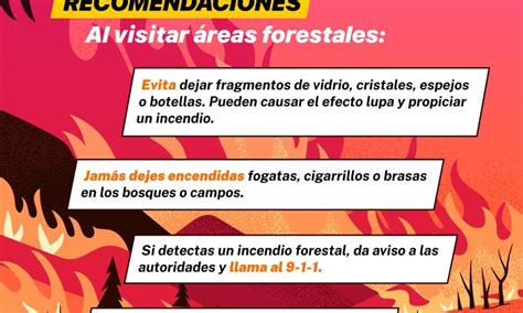 Emite Protección Civil Estatal Recomendaciones Para Prevenir Incendios