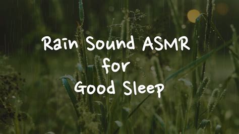 Rain Sound Asmr For Good Sleep Youtube