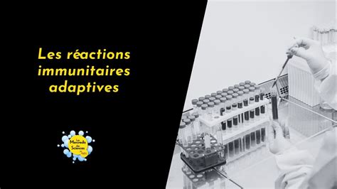 Les R Actions Immunitaires Adaptatives Par S Bastien Storck Mercredis