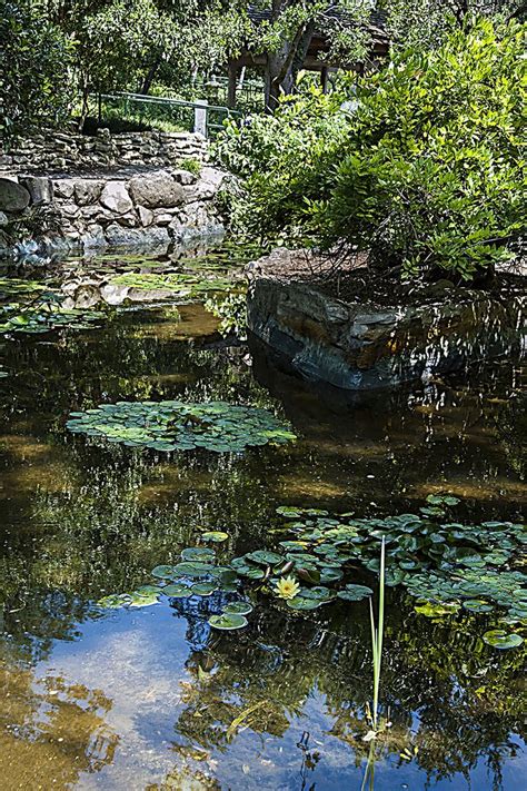 Pin By Patricia Cloer On Water Feature Pond Landscaping Garden