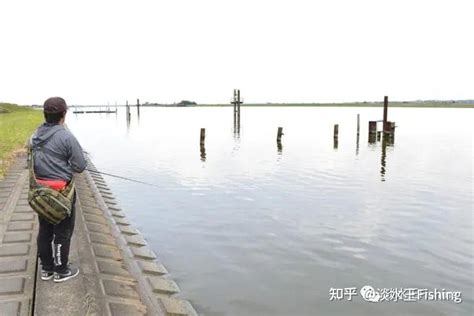 路亚·技能丨琵琶湖当红导钓使用巻物挑战霞ヶ浦水系（中）【永野总一朗】 知乎