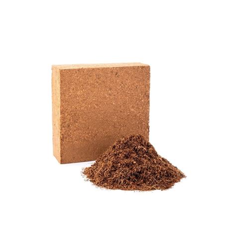 Brown Square Organic Coco Peat Blocks Kg Packaging Type Box