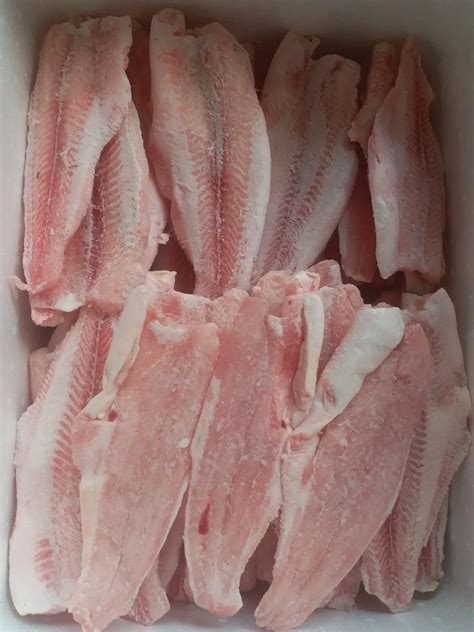 Frozen Pangasius Basa Fish Fillet High Quality Kgs With Max Max