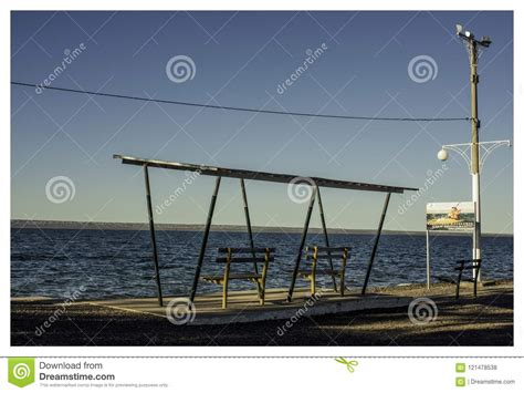 Outdoor Portraits In The Everyday Of Life Stock Photo Image Of Meadow