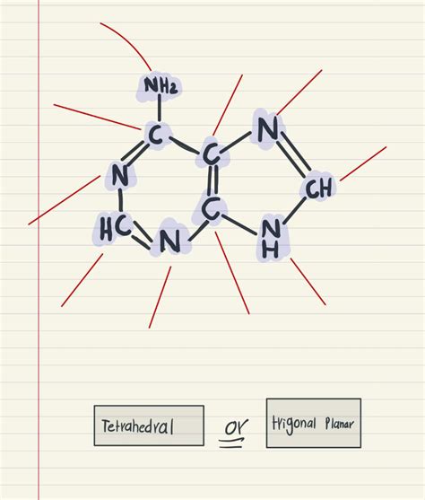 Solved Assign An Electron Geometry To Each Interior Atom In Chegg