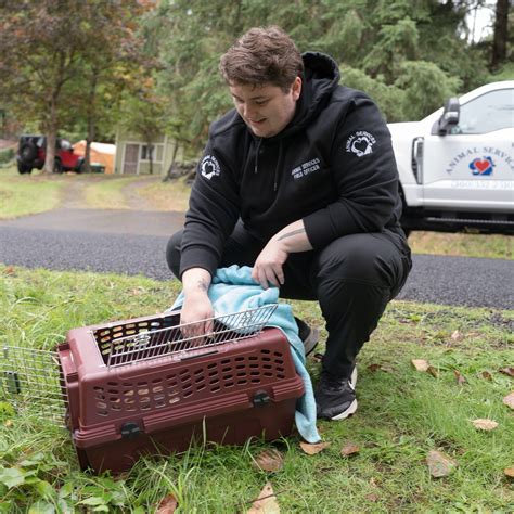 joint animal services olympia