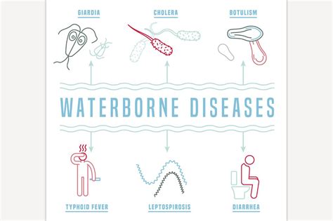 Infectious waterborne diseases | Food Illustrations ~ Creative Market