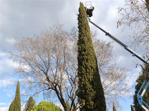 Progettazione E Realizzazione Giardini Spoleto Bocci Vivai Gardenland