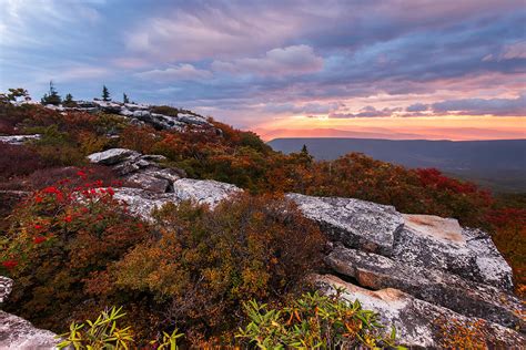 Dolly Sods October Sunrise Photograph By Joseph Rossbach Fine Art America