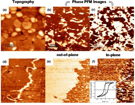 Topography And Phase PFM Images Of Both Out Ofplane And In Plane