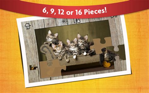 Amazon.com: Cute Cat Puzzles for Kids - Full version (Freetime Edition ...