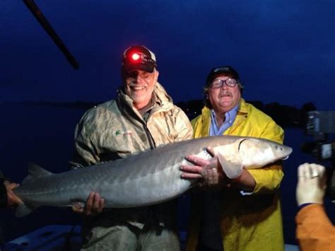 St Clair Detroit River Sturgeon For Tomorrow