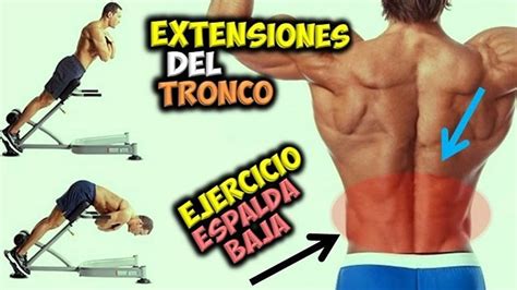 Ejercicio Para Espalda Baja Extensiones Del Tronco 👉 Aumentar Musculos