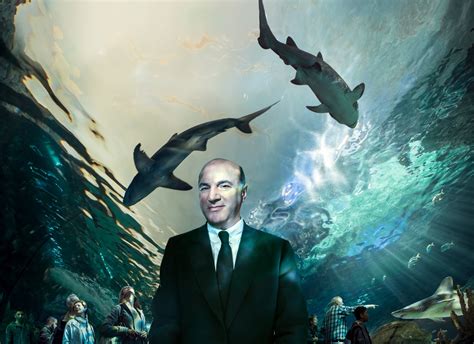 Kerry Shaw Image Love Kevin O Leary Shark Tank For Report On