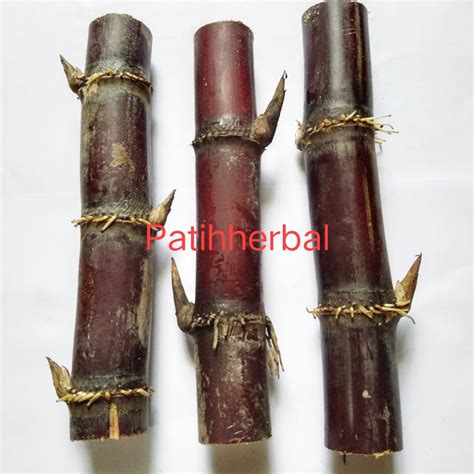 Jual Bibit Tebu Ireng Atau Tebu Hitam Asli Per Batang Harga Per 1