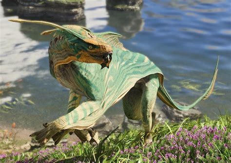 A rare yellow penguin has been photographed for the first time on a ...