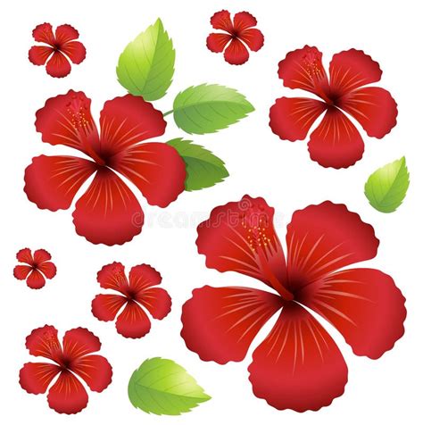 Seamless Background With Red Hibiscus Flowers Stock Vector