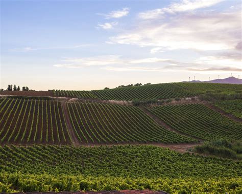 Terre Rosse Di Giabbascio Centopassi