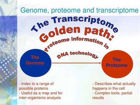 Ppt Topics In Nano Biotechnology Human Genome Project Lecture 9 Powerpoint Presentation Id