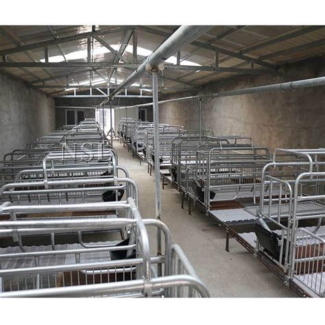 Hot DIP Galvanised Farrowing Gestation Crate Stall Pen Cages Equipment