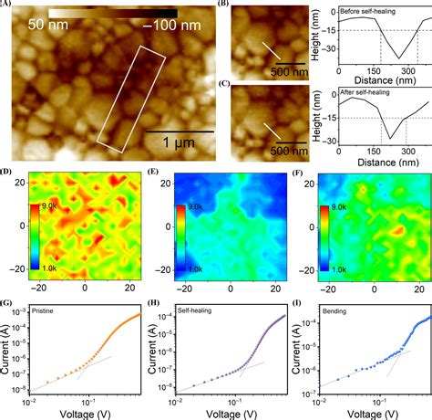 Flexible Perovskite Photodetector With Room‐temperature Self‐healing