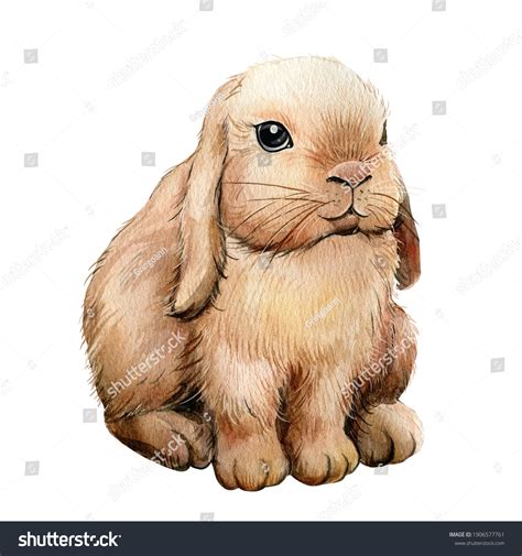 18,444 Watercolor Baby Bunny Images, Stock Photos & Vectors | Shutterstock